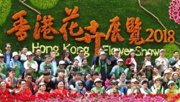 香港花卉展72萬客入場破紀錄 首次閉幕後「贈花」